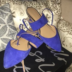 Banana Republic neocobalt suede flats